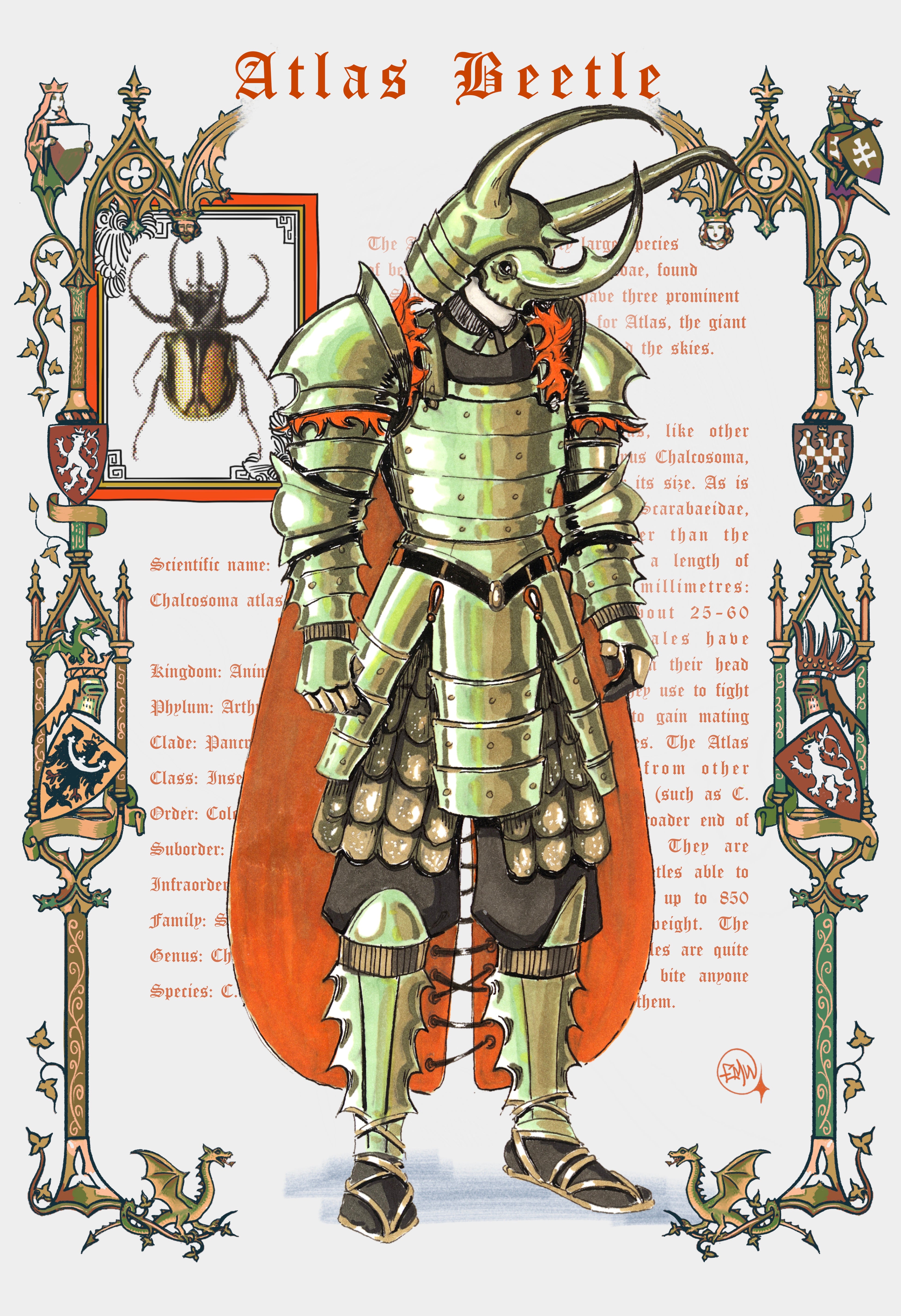 ATLAS KNIGHT PRINT