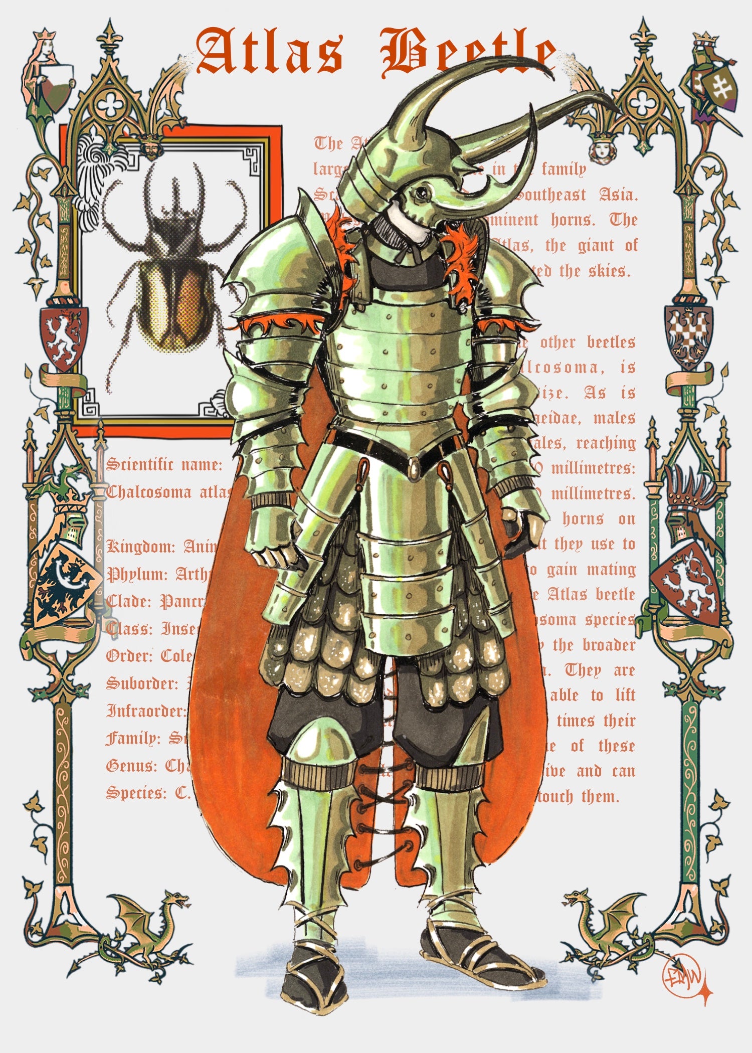 ATLAS KNIGHT PRINT