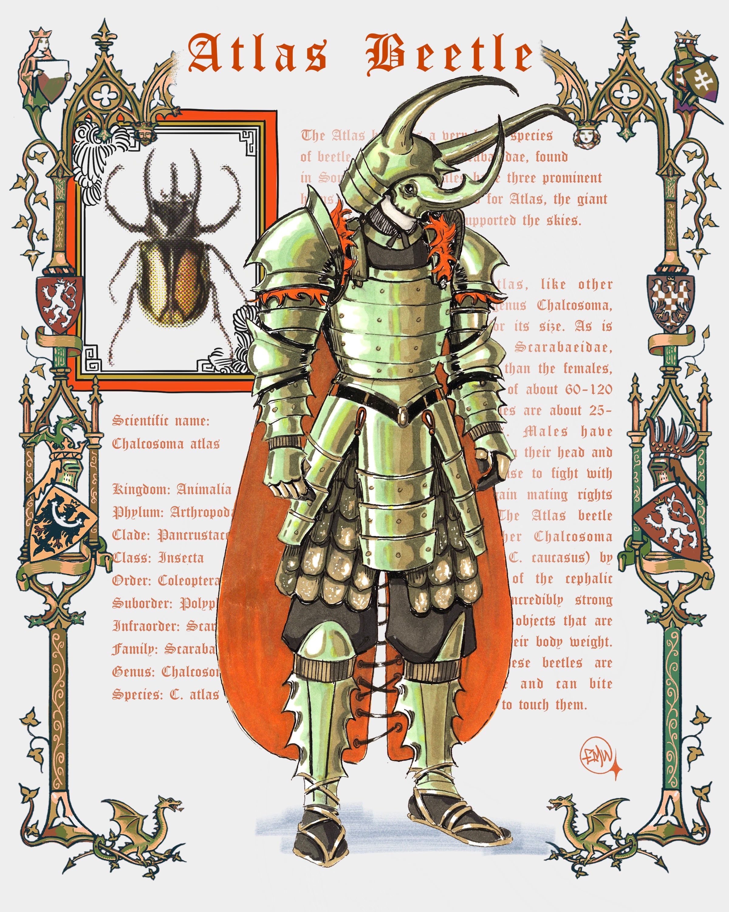 ATLAS KNIGHT PRINT