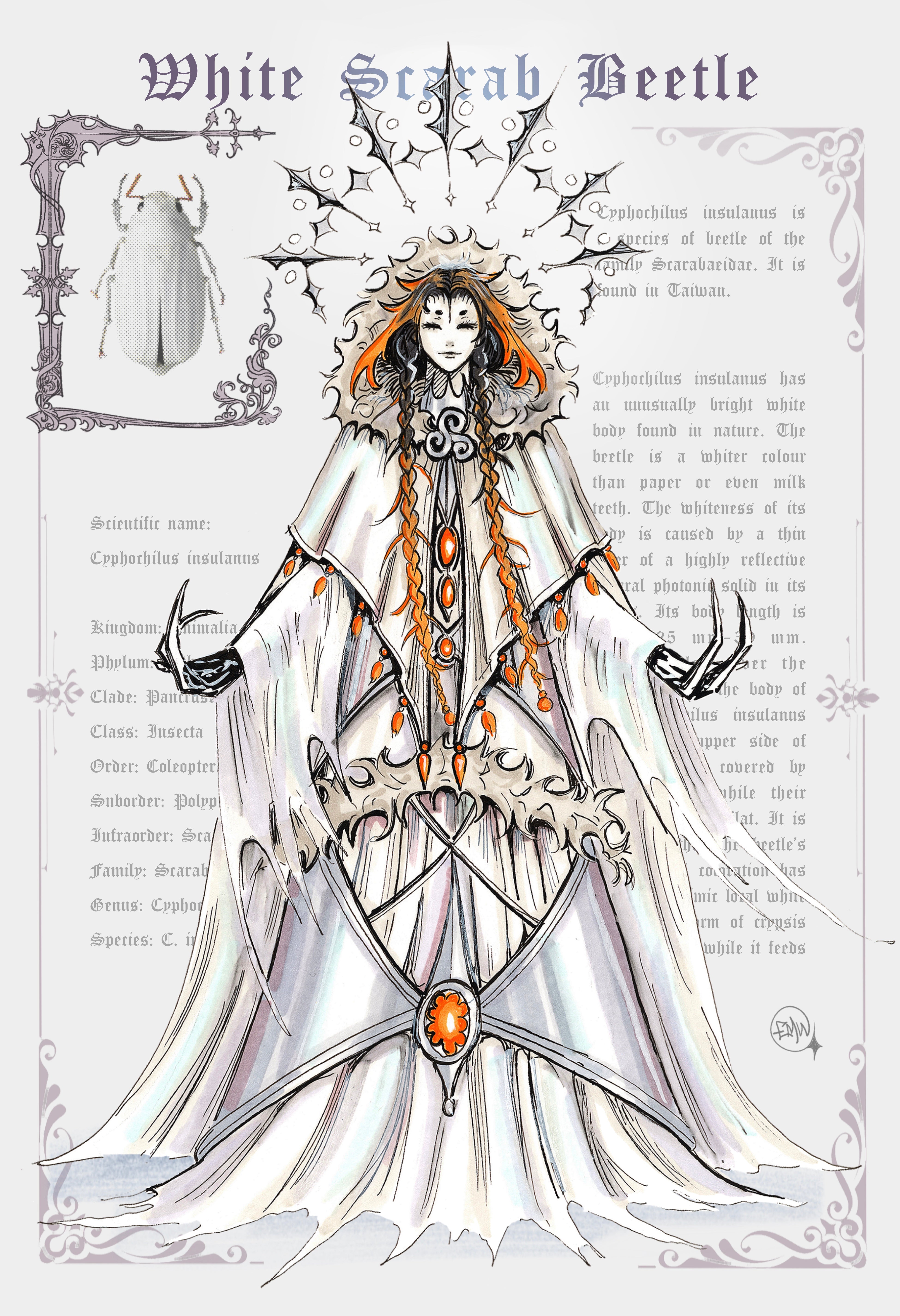 WHITE SCARAB PRINT