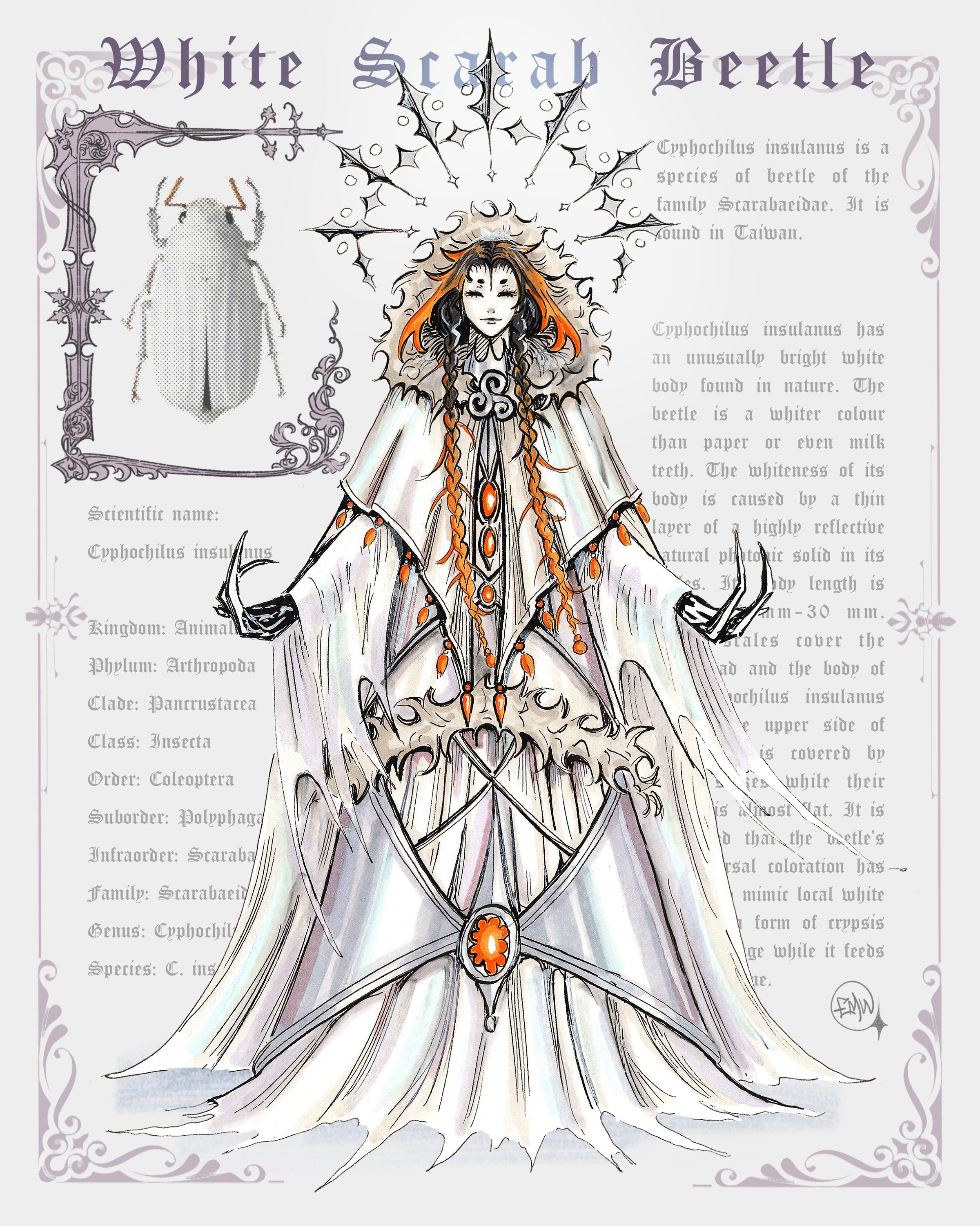 WHITE SCARAB PRINT